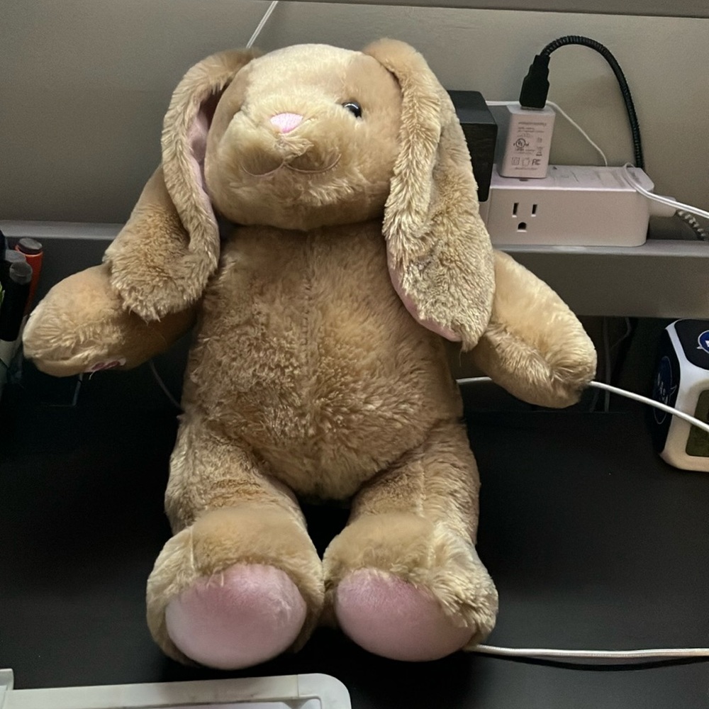 Build a bear bunny, new